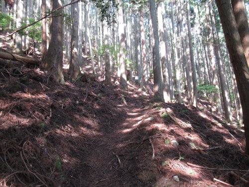 登山道