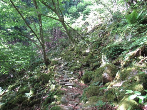 登山道