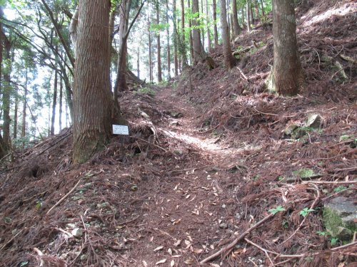 登山道