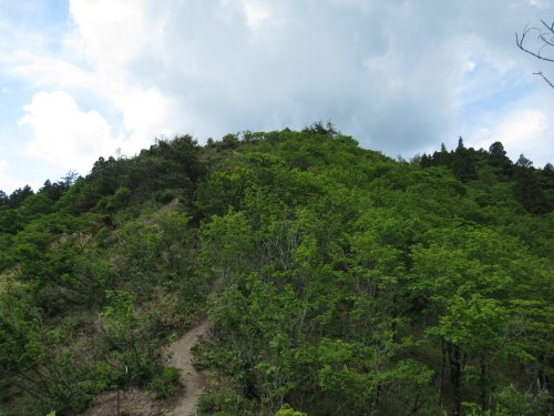 中峰