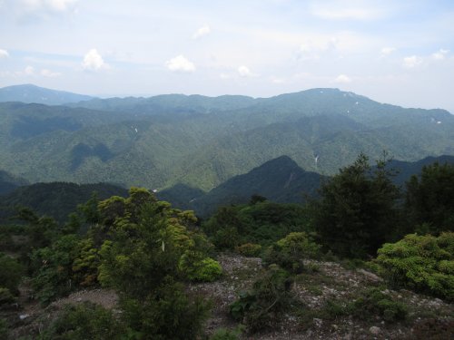 登山道