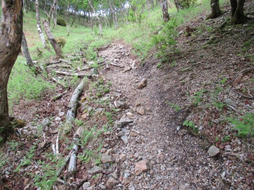 登山道