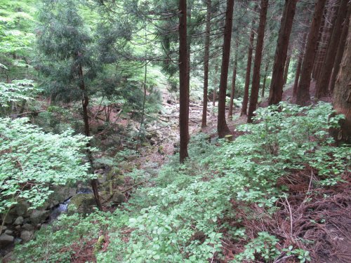 登山道
