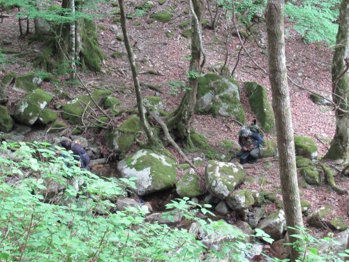 登山道