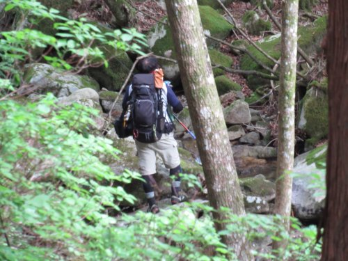登山道