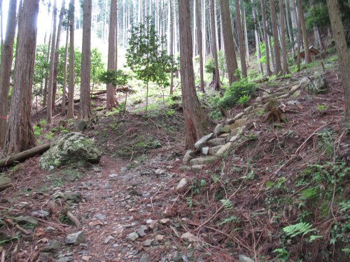 登山道