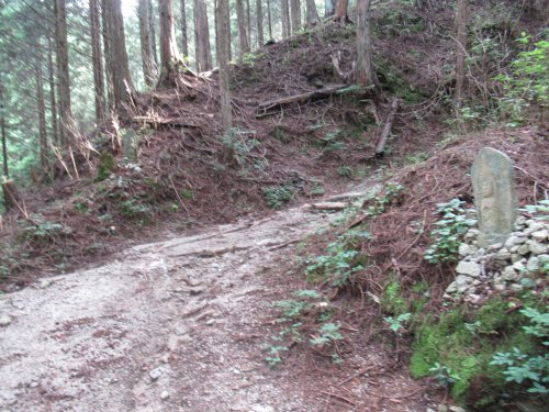 登山道