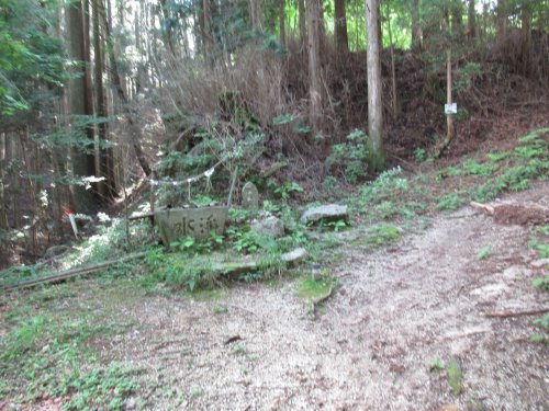 登山道