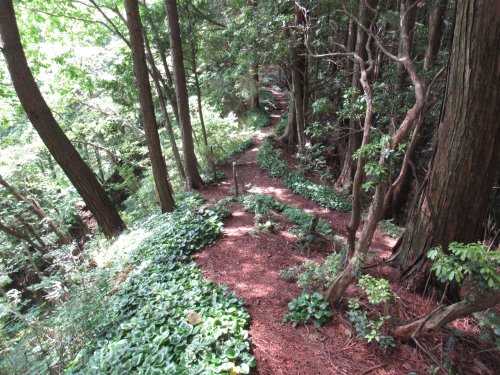 登山道
