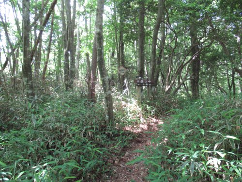 登山道