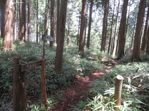 登山道
