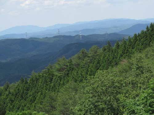 登山道