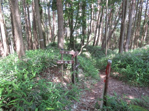 登山道