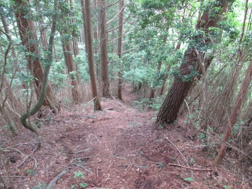 登山道