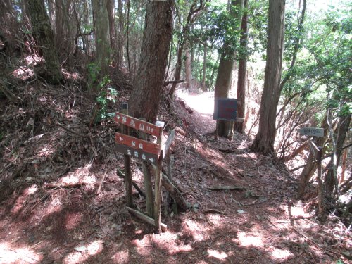 登山道