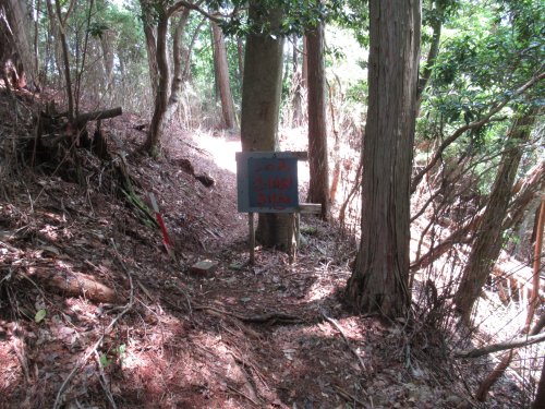登山道