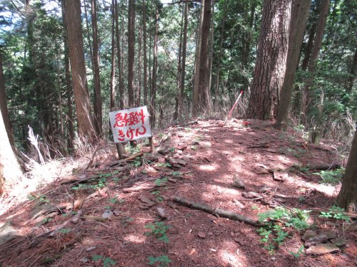 登山道