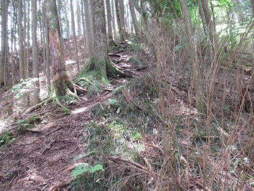 登山道