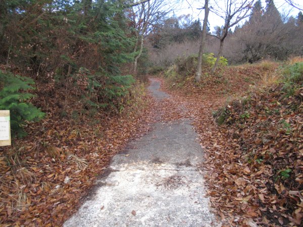 登山道