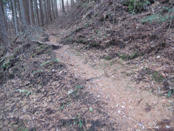 登山道