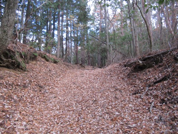 登山道