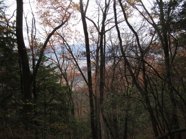 登山道