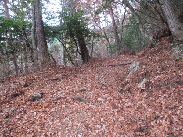 登山道
