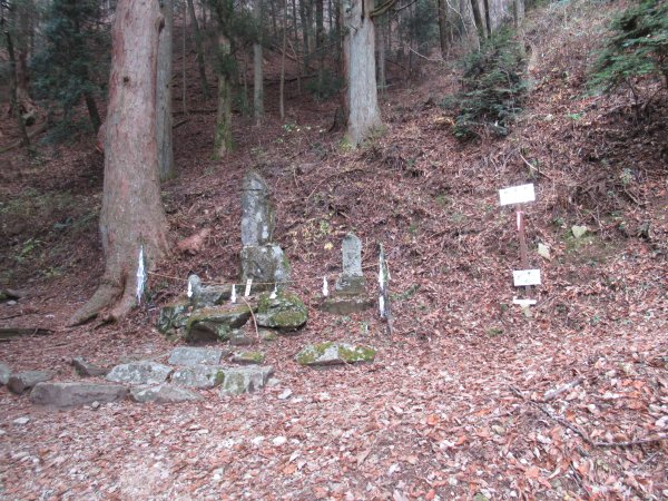 登山道