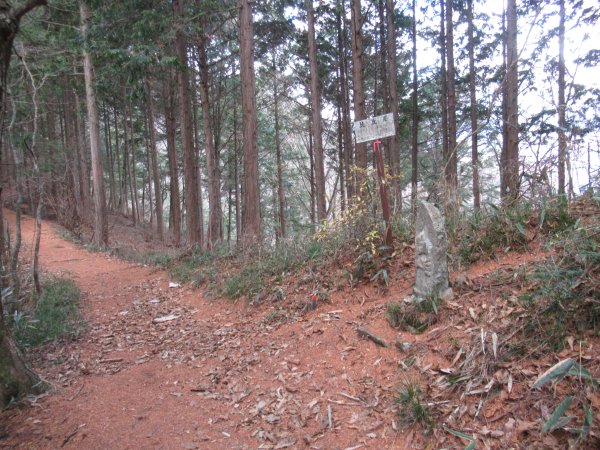 登山道
