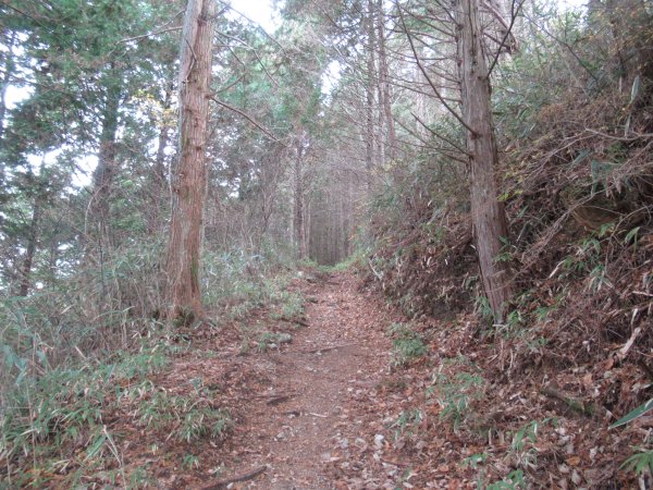 登山道
