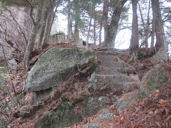 登山道