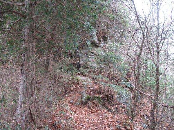 登山道