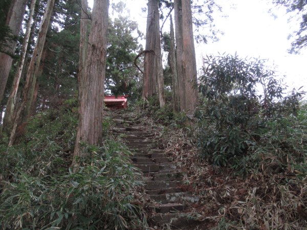 登山道