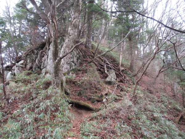 登山道