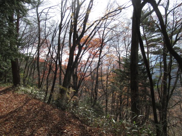 登山道