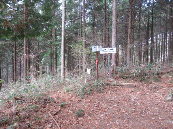 登山道
