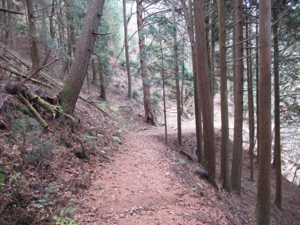 登山道