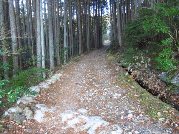 林道