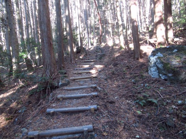 登山道