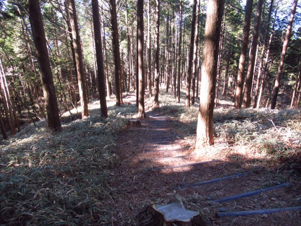画像29