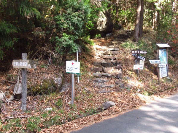 笠置山林道出会い