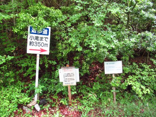 小滝分岐