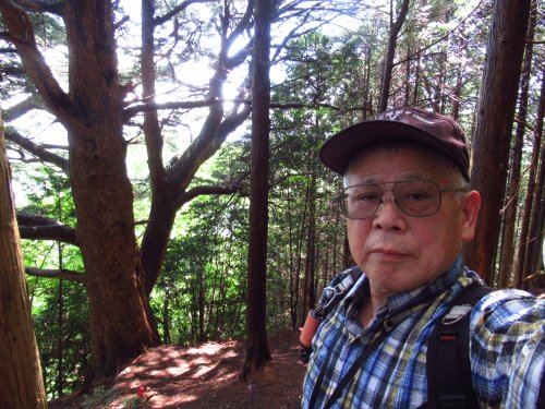 登山道