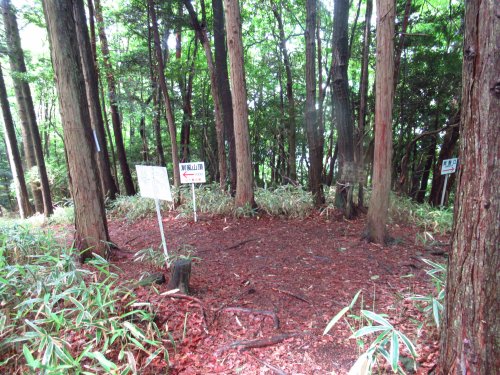 登山道