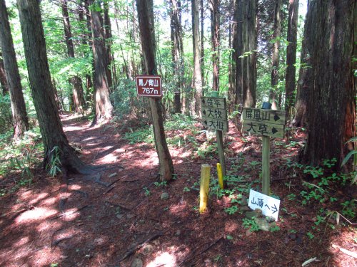 馬の背山 
