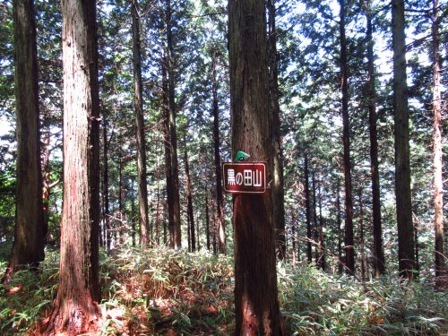 黒の田山 