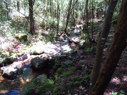 登山道