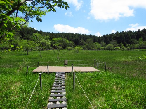 黒の田東湿地