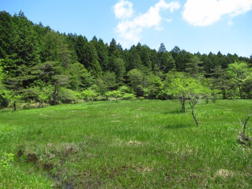 黒の田東湿地