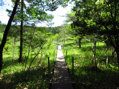 黒の田東湿地